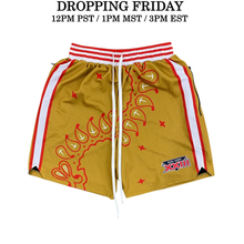 Load image into Gallery viewer, NINER SHORTS (XXIII)
