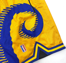 Load image into Gallery viewer, RAMILY SHORTS (ALTERNATE)
